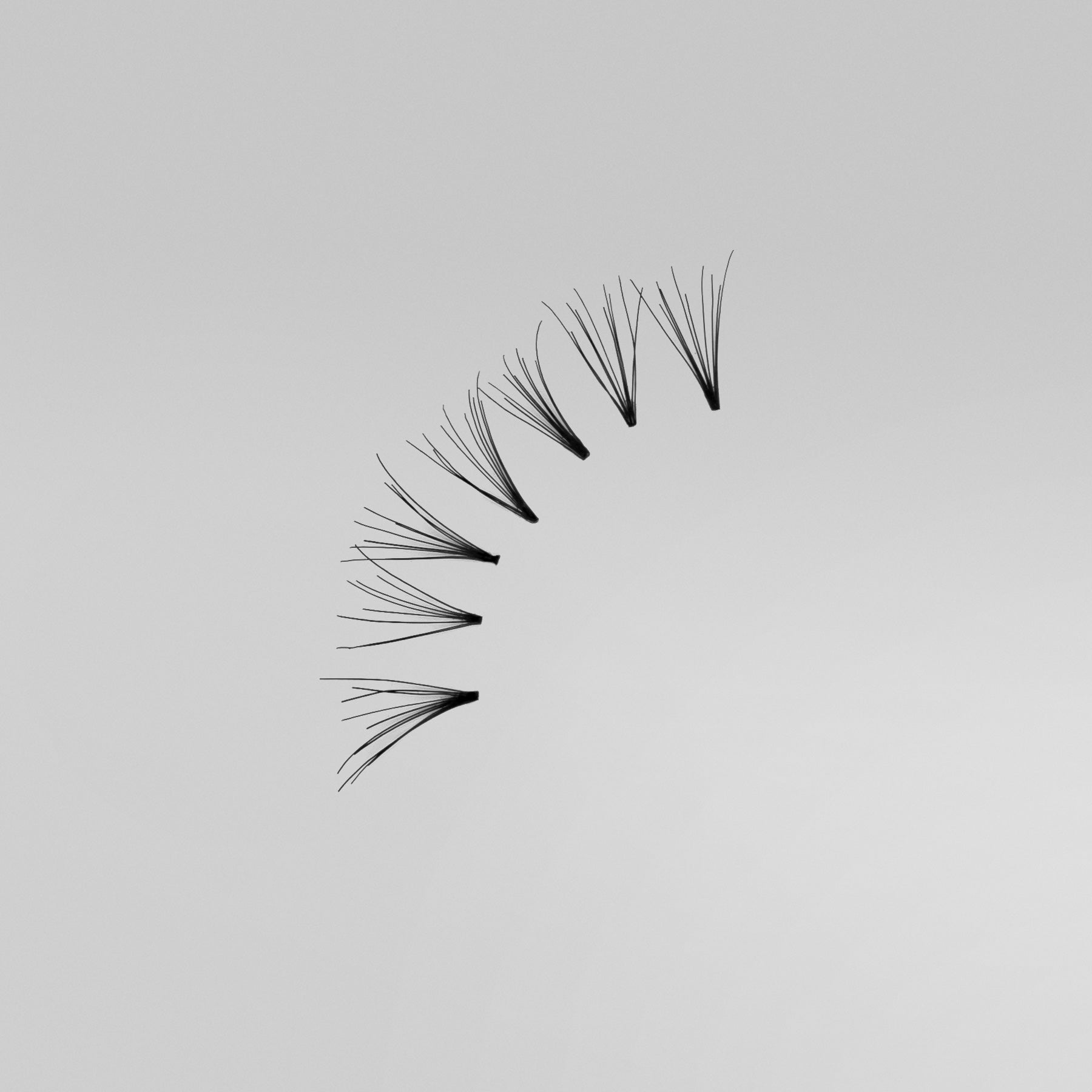 ARDELL INDIVIDUALS MEDIUM BLACK