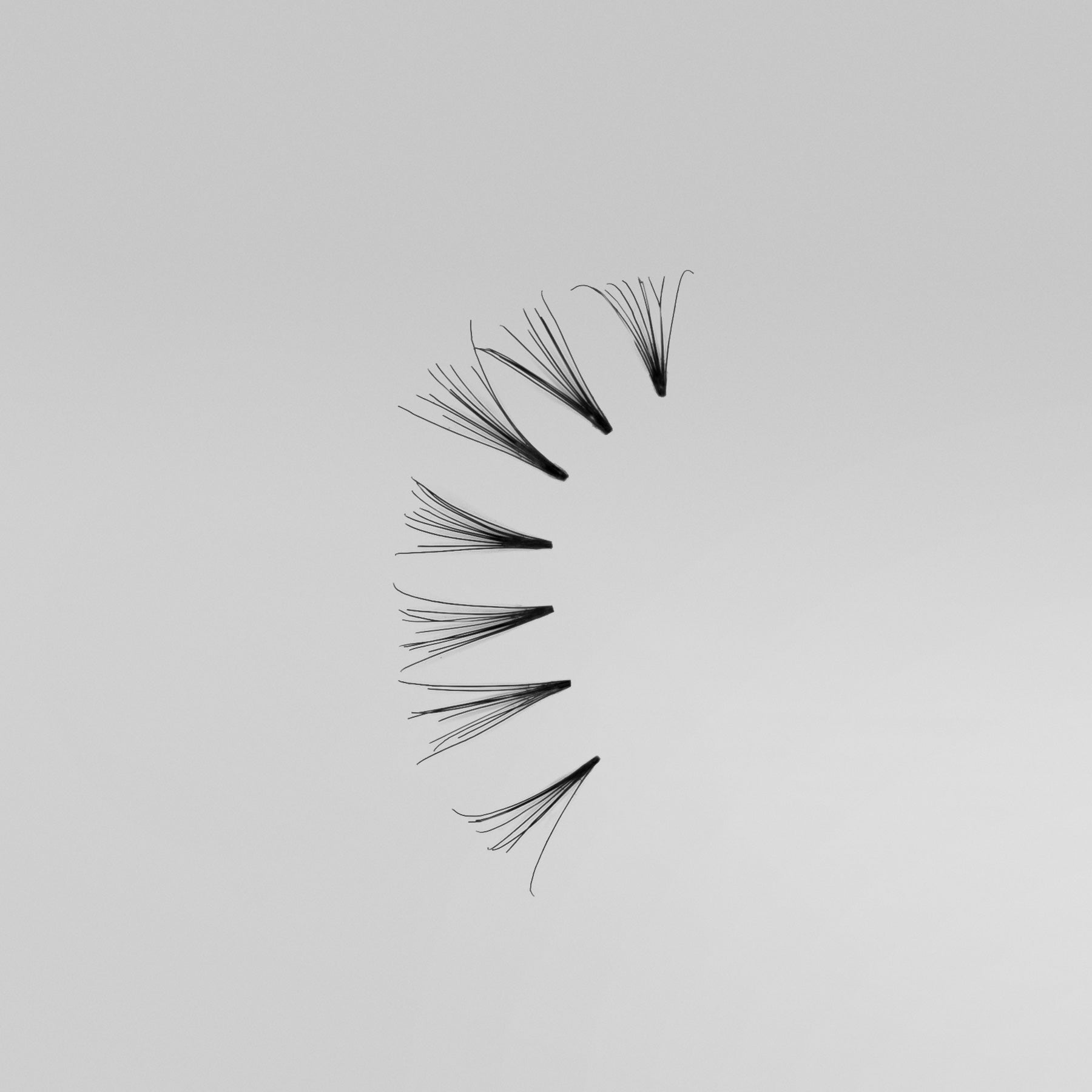 ARDELL INDIVIDUALS LONG BLACK