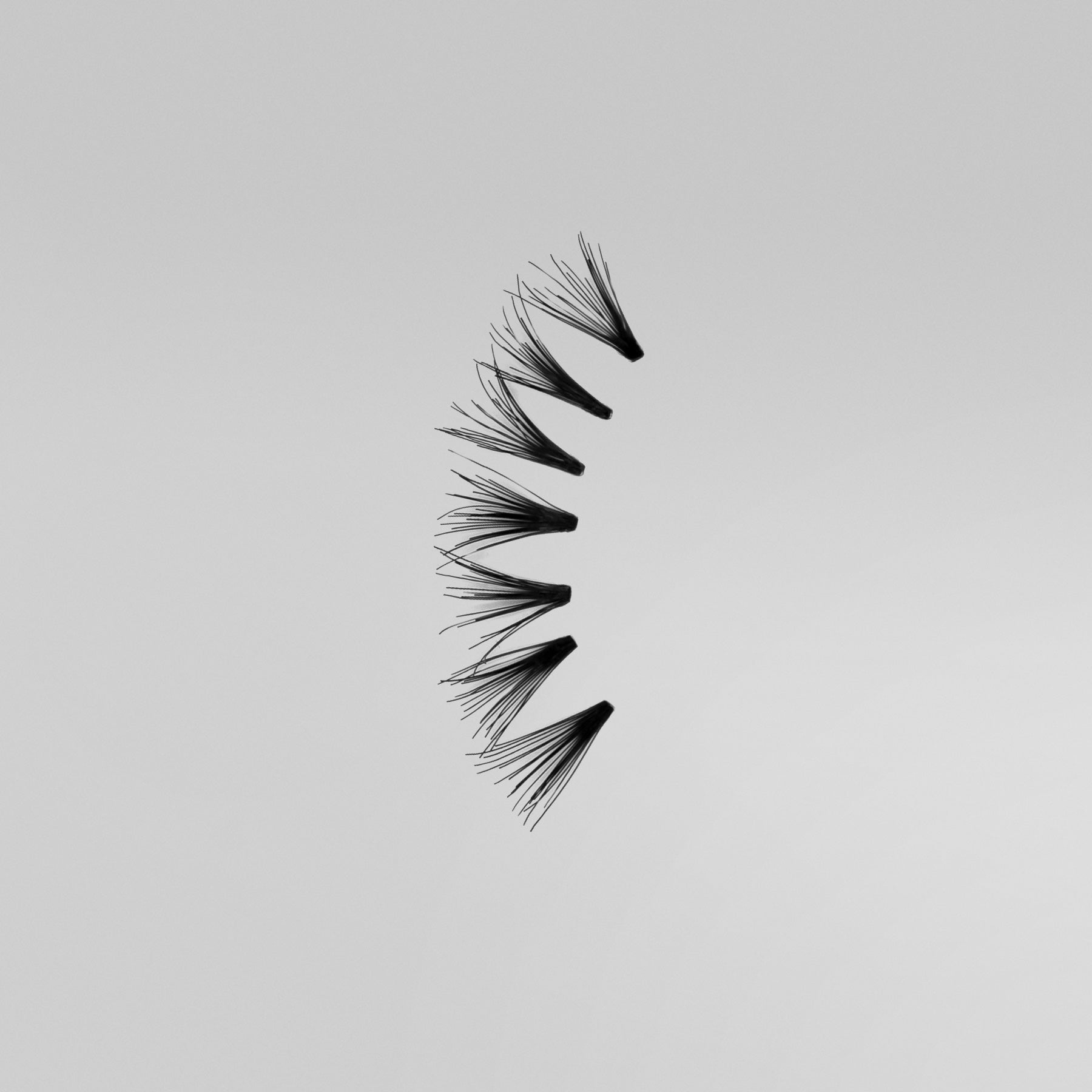 ARDELL DOUBLE INDIVIDUALS MEDIUM