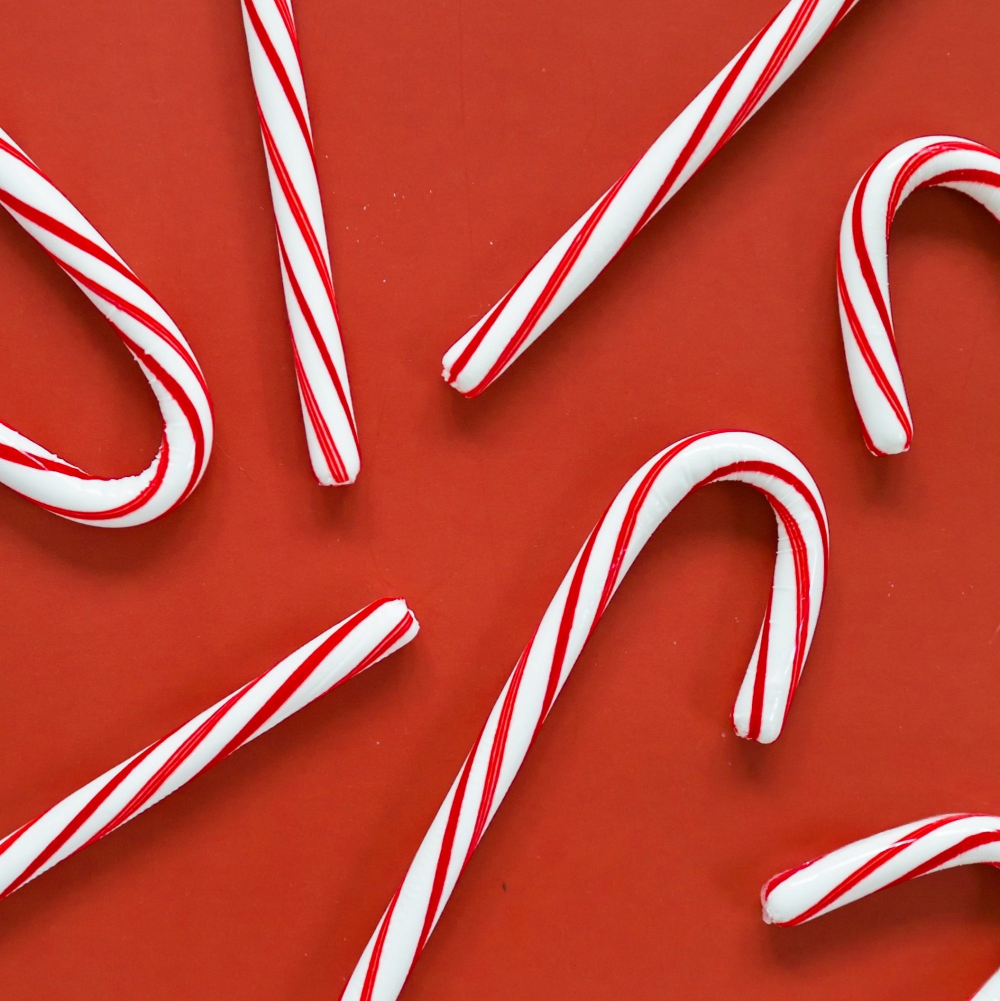 Zuckerstangen auf rotem Hintergrund, in weihnachtlicher Stimmung.